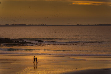 Silhouette of a couple on Kleinbaai, Blouberg beach at dusk, with Robben Island in the background. Golden sunset glows over the ocean waves, and flying birds in Cape Town, Western Cape, South Africa.