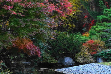 紅葉のある風景