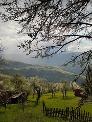 Green valley with blossoming trees under dramatic clouds and sun rays breaking through