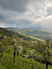 Green valley with blossoming trees under dramatic clouds and sun rays breaking through