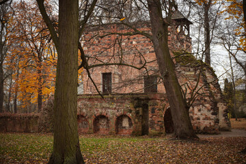 jesień, park pałacowy, arkadia, liście, budynki zabytkowe.  rośliny, polska, 