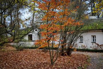 jesień, park pałacowy, arkadia, liście, budynki zabytkowe.  rośliny, polska,  © dulak
