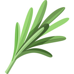 Green Rosemary Sprig With Elongated Leaves and Delicate Stems Isolated on Transparent Background Healthy Herb for Culinary and Medicinal Use