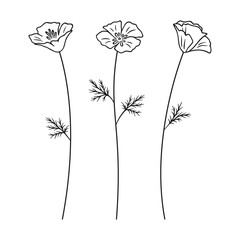 Set of wildflowers in black line art on white background. Hand-drawn poppy flowers, and leaves. Wild plants and botanical elements for design projects. Vector illustration