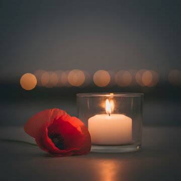 Remembrance Day poppy and candle light tribute background