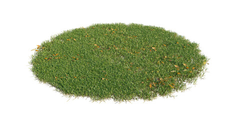 realistic grass pile cutout isolated png on a transparent background premium nature cutout
