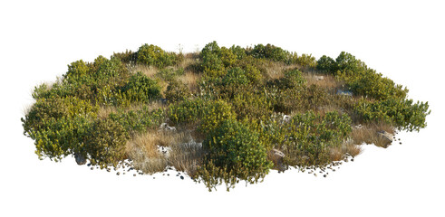 Yellow grass and shrubs cutout isolated png on a transparent background premium nature cutout