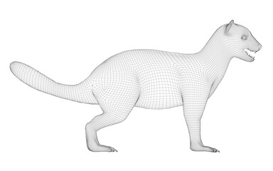 Obraz premium A wireframe mongoose animal 3D model stands on a clean white background. The realistic skeletal structure is clearly defined for a modern, technical visualization. Side view