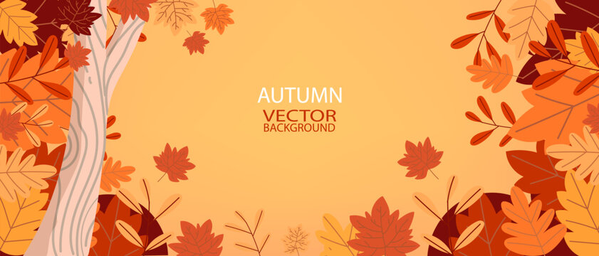 Autumn background, wallpaper, banner with tree leafe vector design. Hello Autmn.