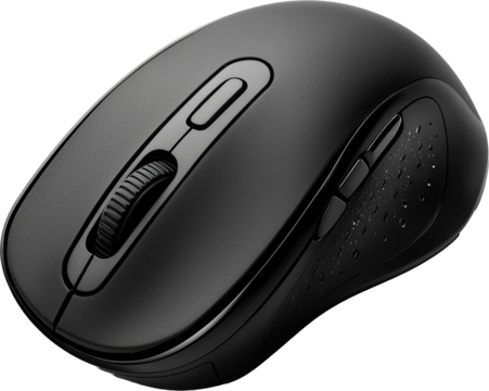 black computer mouse
