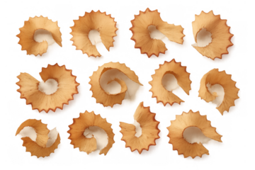 Wooden pencil shavings with curly form after sharpening, isolated on a transparent background, school and art supplies