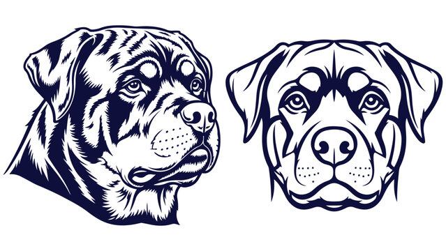 Rottweiler Front And Side Head Views, Black And White Line Art Dog Portrait Vector For Working Breed Labels And Guard Dog Graphics