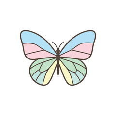 Butterfly with colorful wings vector