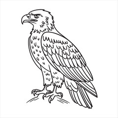 Detailed line art portrays a perched eagle, emphasizing its fierce gaze and sharp talons with transparent background, kids’ coloring pages, kids, coloring, pages,