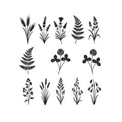 Black and white floral vector set with leaves wreaths and decorative elements