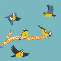 vector drawing bird, blue tit at sea buckthorn branch with berries and snow in winter, hand drawn wildlife illustration