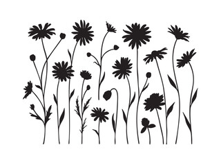 Tropical Floral Vector Set with Flowers Leaves and Plants