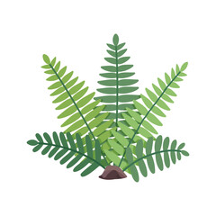 Green fern bush on white background. Vector illustration in cartoon flat style.