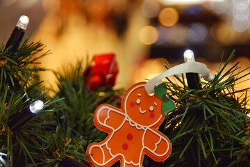 Gingerbread man on a spruce branch.