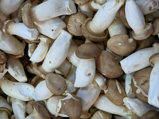 Close-up of a pile of king oyster mushrooms, also known by their scientific name, Pleurotus eryngii, background style. 