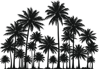 Silhouette of a dense cluster of tall palm trees against a white background evoking a tropical paradise