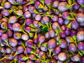 high-angle view of a large pile of small, round, purple and lavender eggplants (Thai eggplants), many partially submerged in liquid and showing their green stems.