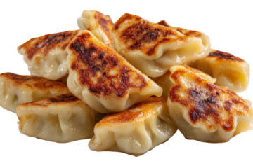 Crispy pan fried dumplings gyoza japanese appetizer food photography