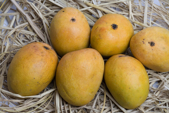 yellow mangoes in a basket