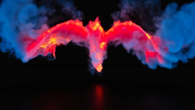 Dragon Flame Logo Unveil