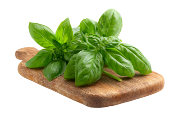 Fresh green basil leaves arranged on a rustic wooden cutting board