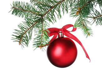 Red shiny Christmas ball on fir tree branch against white background