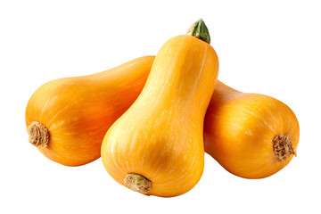 Three ripe butternut squash vegetables isolated on a black background studio shot