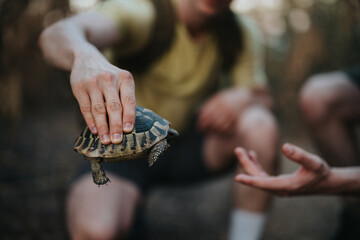 A close-up of a person presenting a small turtle to an outstretched hand in a natural, outdoor setting. The moment conveys curiosity, care, and gentle interaction with wildlife.