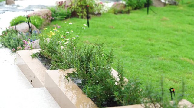 path in the garden after heavy rain