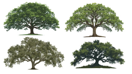 Green oak tree with large crown vector illustration