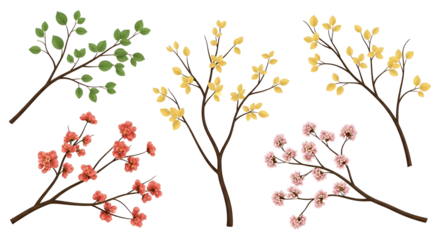 Botanical Branches with Colorful Blossoms and Foliage Delicate Floral Illustrations for Spring Designs Transparent background seasonal decoration delicate petals blooming