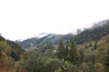 Picturesque view of mountains, forest and fog on cloudy day