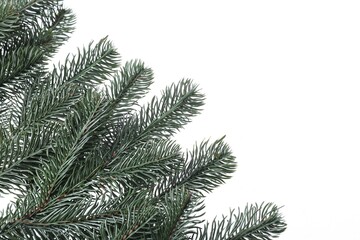 Branch of artificial fir tree on white background, space for text. Christmas decor