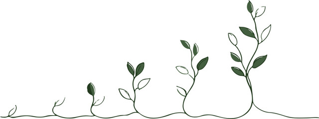 Seed to sprout growth stages line art silhouette, minimal black and white seedlings evolving along a timeline, concept.