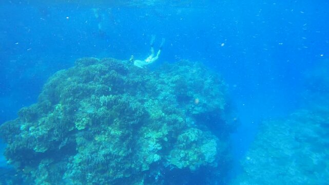 far away distant still view underwater surface in the ocean look out to a caucasian woman wearing swimming suit free diving down in to blue water to a large independent reef system during day tropical