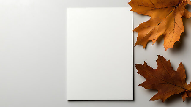 A blank card is perfect for fall events. Send holiday greetings or event invitations in autumnal style with this card. The falling leaves add beauty to it.