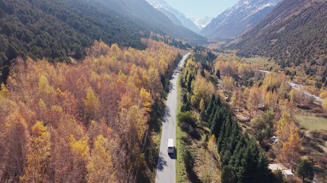 Scenic autumn landscape of bus driving through yellow pine forest in Ala Archa national park, Kyrgyzstan