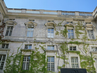 Ivy Growing on the Stone Facade of the State Library in Berlin, Germany