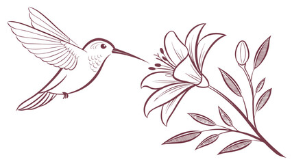 Obraz premium Elegant hummingbird flying to a beautiful lily, a symbol of nature's beauty and delicate grace, perfect for refined designs and peaceful themes