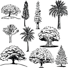 Hand-drawn tree collection illustration