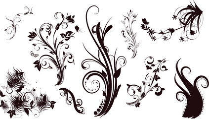 Collection of dark floral swirls and ornate flourishes on a white background © Ashikur Rahman