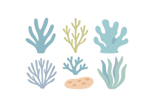 collection of coral fragments arranged artfully calm seaside feel no outline flat vector illustration style isolated on white background gentle cool palette