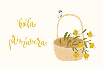 Hola primavera spanish greeting with basket of yellow flowers vector illustration, cute floral spring design with butterfly