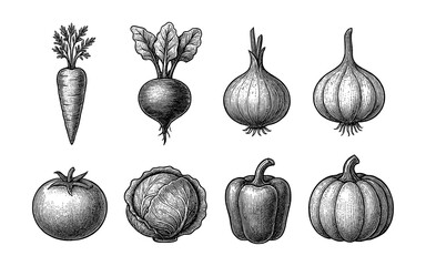 Vintage hand drawn vegetables collection: carrot, beets, onion, tomato, pepper, pumpkin