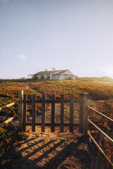 Rota Vicentina, cammino portoghese e paesaggi 